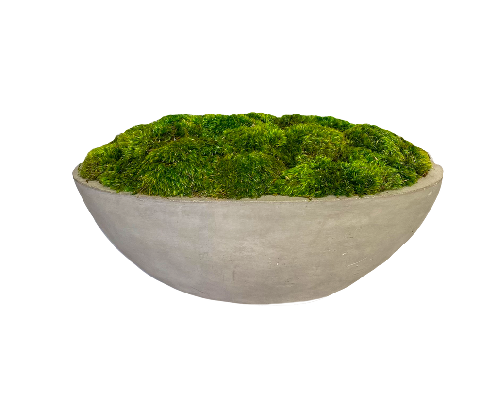 Moss Bowl Centerpiece